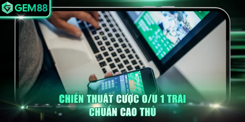 Tài Xỉu 1 Trái Là Gì? Kiến Thức Đầu Tư Chuẩn Từ GEM88