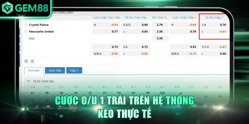 Tài Xỉu 1 Trái Là Gì? Kiến Thức Đầu Tư Chuẩn Từ GEM88